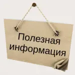 Что нужно знать об инфекциях, связанных с оказанием медицинской помощи (ИСМП)